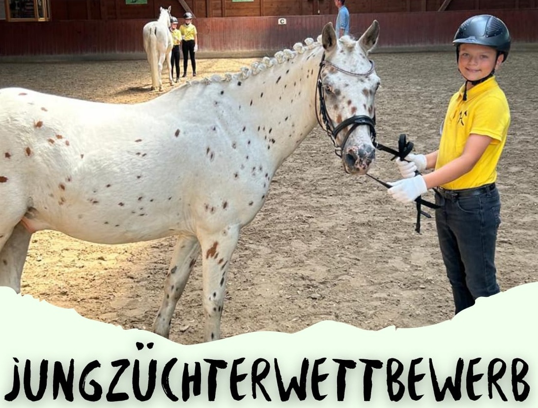 Jungzüchterwettbewerb